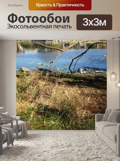 Фотообои сухие ветки и сухая трава