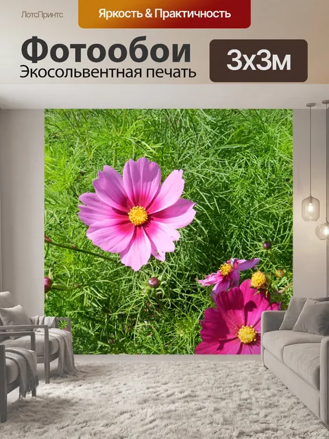 Фотообои Космос Соната 2018 6