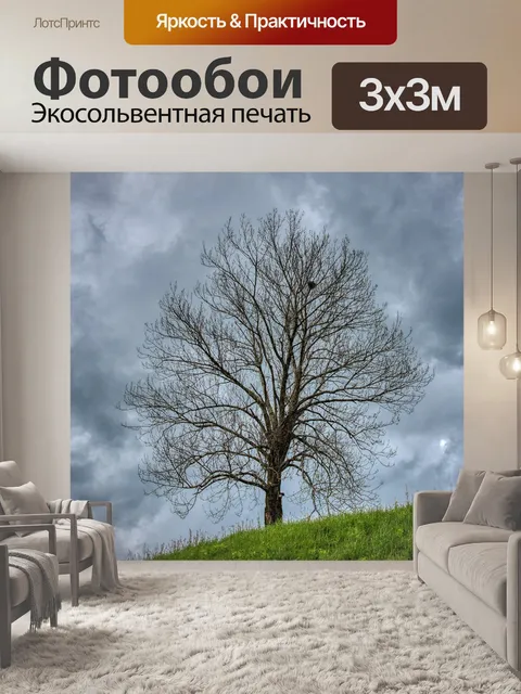 Фотообои Дерево