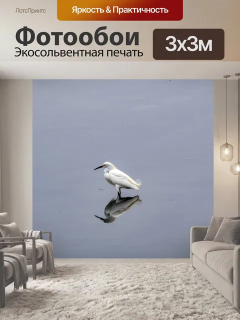 Фотообои снежная цапля