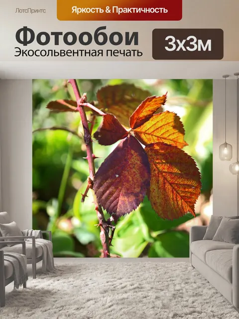 Фотообои изменение красновато-коричневого цвета л