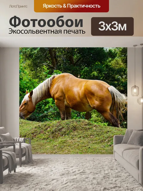Фотообои Лошадь