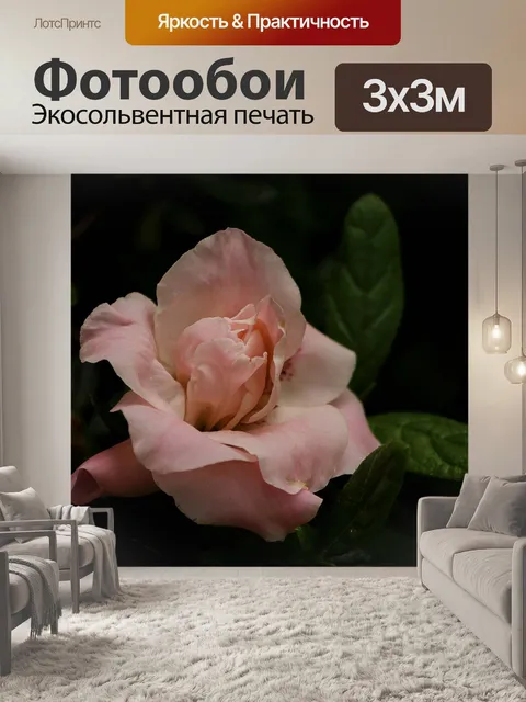 Фотообои Розовая азалия