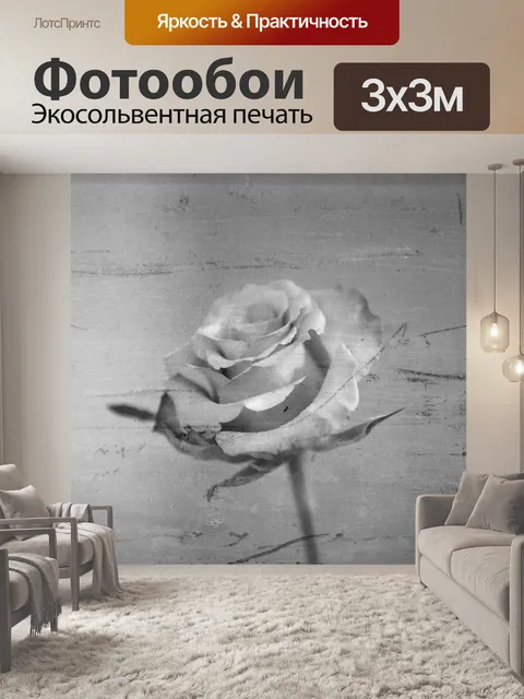 Фотообои Роза