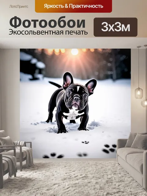 Фотообои смешной французский бульдог, играющий в снегу, оставляющий следы лап на белом пуховом покрове
