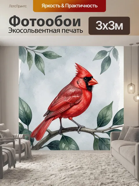 Фотообои Красный кардинал на ветке