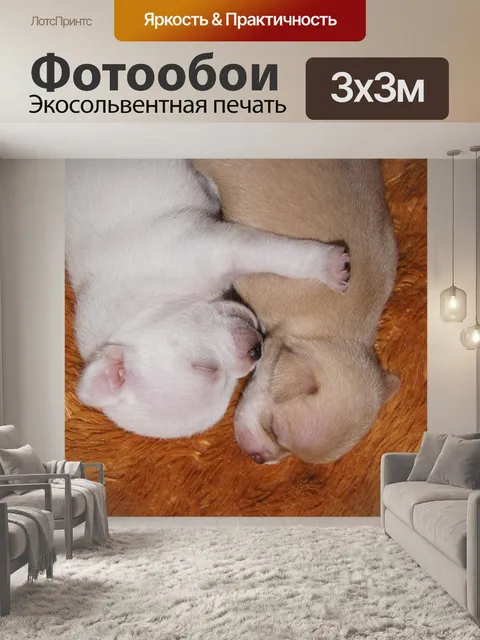 Фотообои Щенок