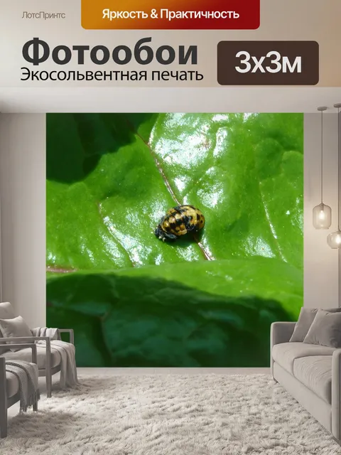 Фотообои Зеленый сад Фон