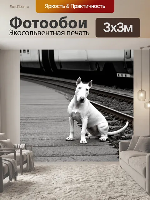 Фотообои на платформе старой железной дороги, белый бультерьер сидит, обратившись в сторону уходящего поезда