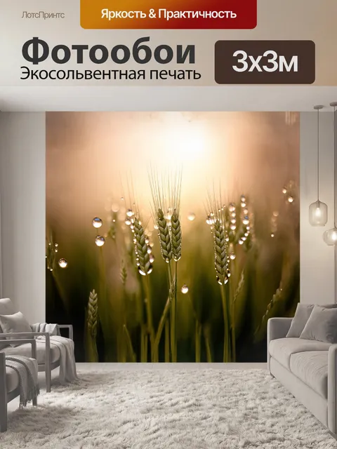 Фотообои на колоссах пшеницы поблёскивает роса, словно драгоценные камни, когда первая утренняя заря освещает поле
