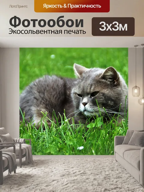 Фотообои Кот