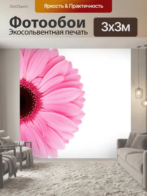 Фотообои Розовая гербера Дейзи