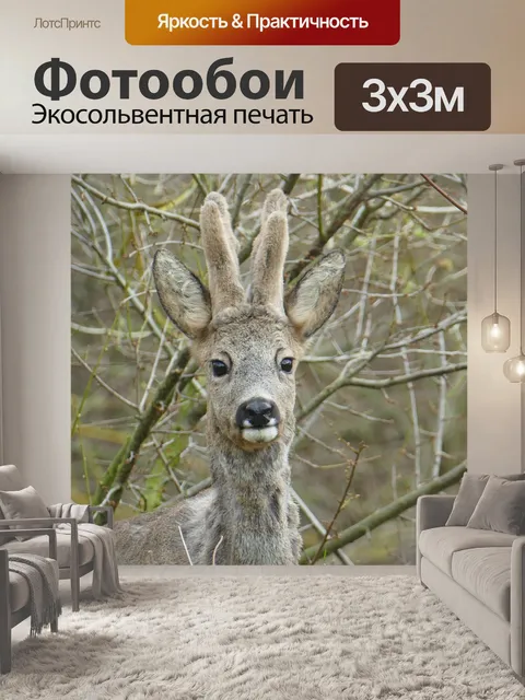 Фотообои Лесные животные