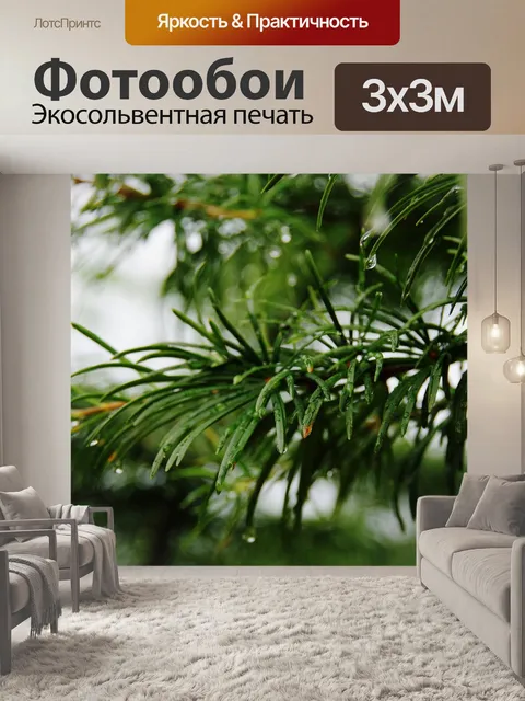 Фотообои Сосна