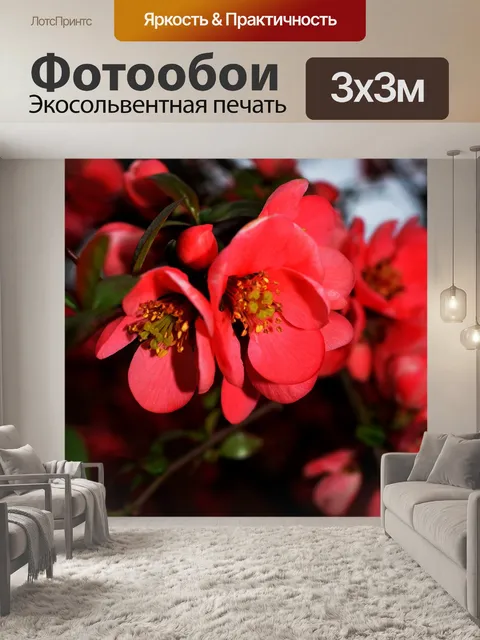 Фотообои Цвести