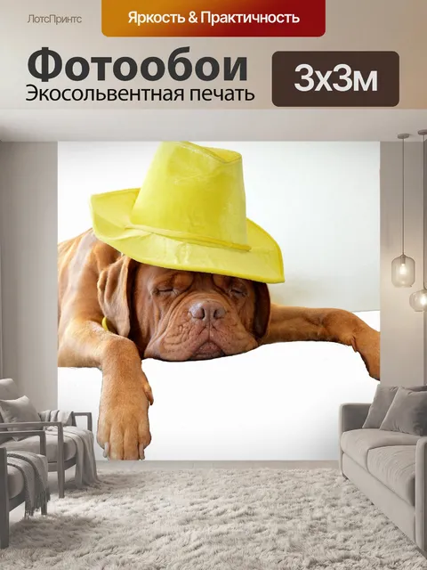 Фотообои Желтая шляпа