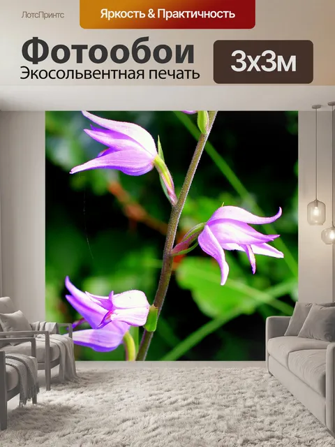 Фотообои Красная лесная птица