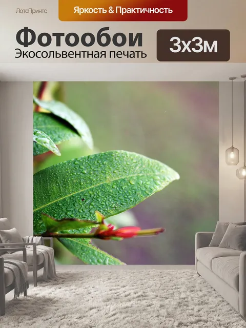 Фотообои Лист с влажным фоне