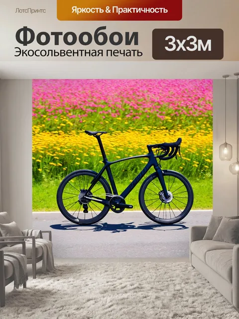 Фотообои спортивный велосипед с суперлегкой рамой и шоссе, проезжающий мимо пейзажа весенних цветов