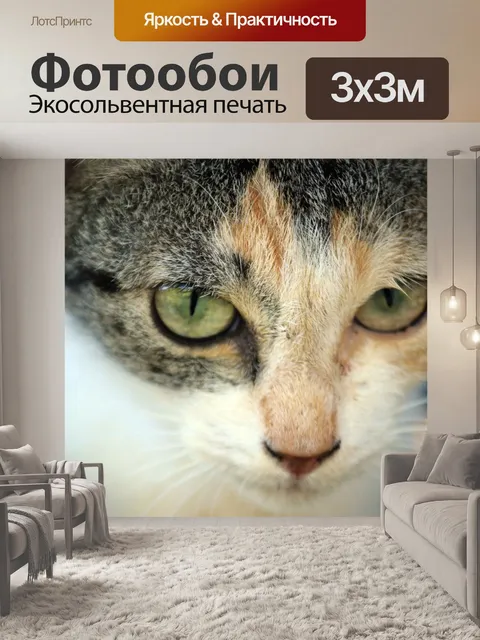Фотообои Кошачьи глаза