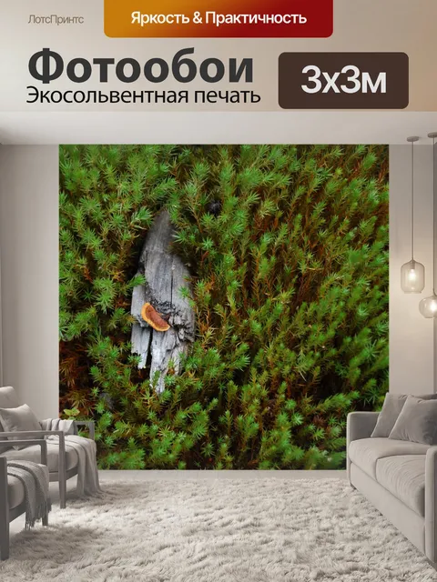 Фотообои грибок на дереве