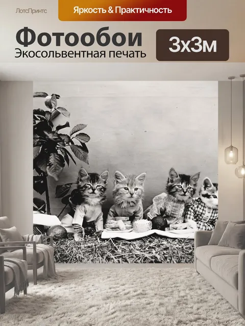 Фотообои Кошка Одетая Винтаж Фото