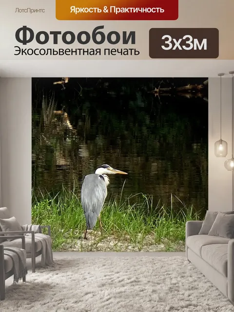 Фотообои Птицы