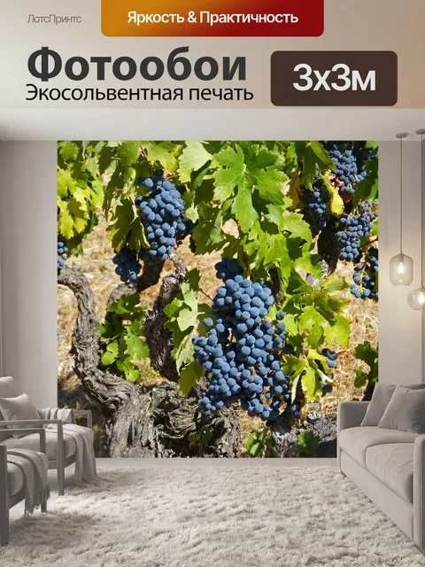 Фотообои Лоза