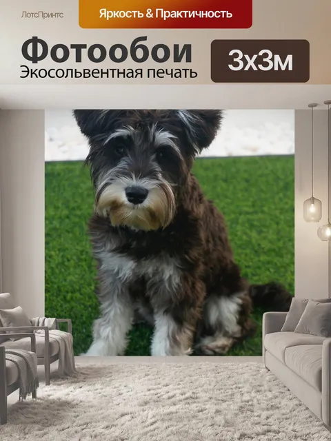 Фотообои Щенок