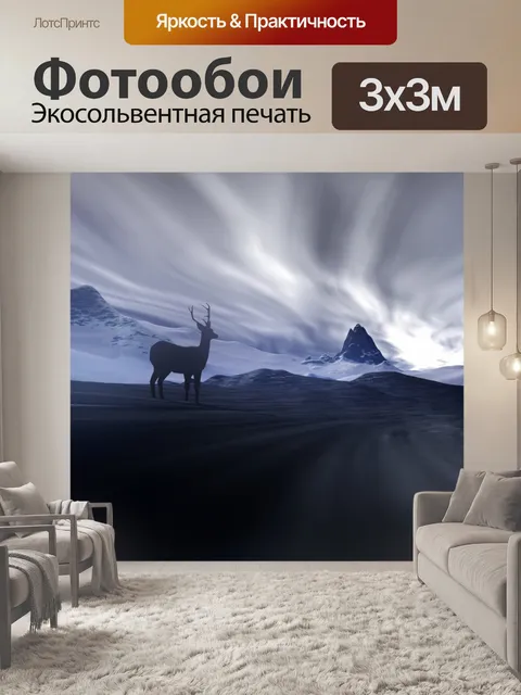 Фотообои Проиграл в Winterland