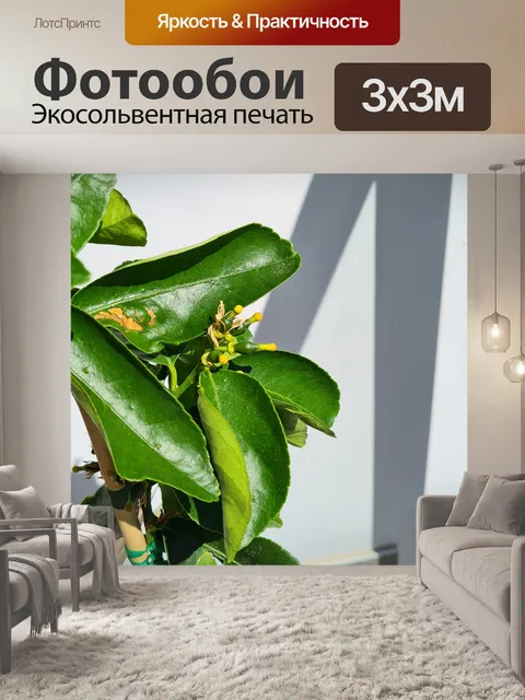 Фотообои Крошечный незрелый лайм с цветами