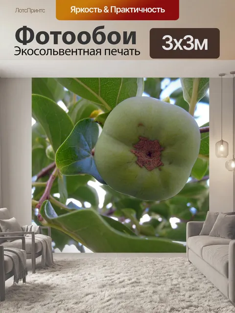 Фотообои Зеленые Хурма