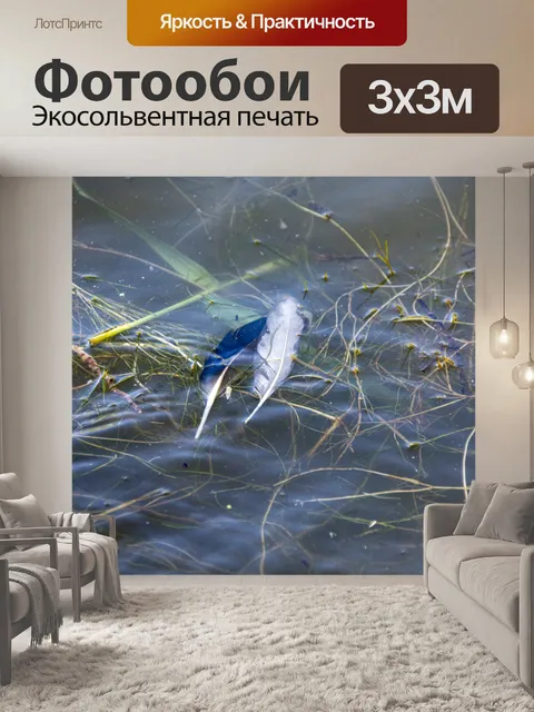 Фотообои птичьи перья в воде