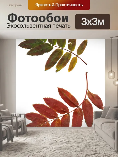 Фотообои Листья