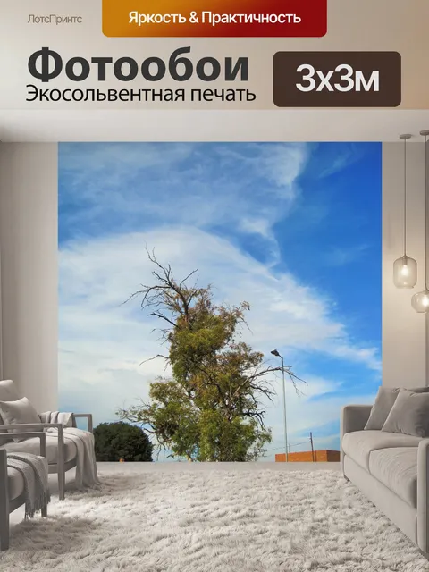 Фотообои высокий эвкалипт