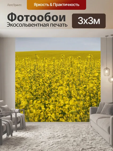 Фотообои Поле канолы