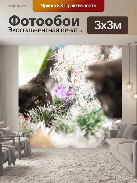 Фотообои Кошки