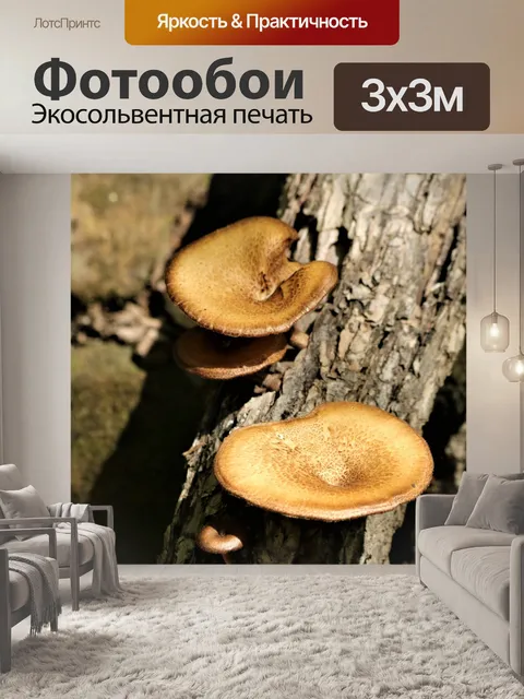 Фотообои Коричневые грибы на бревне крупным плано