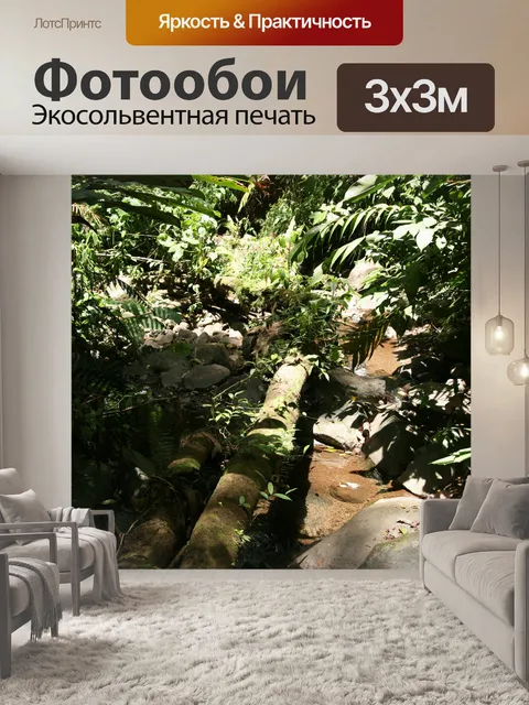 Фотообои Коста-Рика тропических лесов