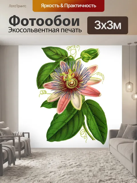 Фотообои Страсть цветок цвести цветок искусство