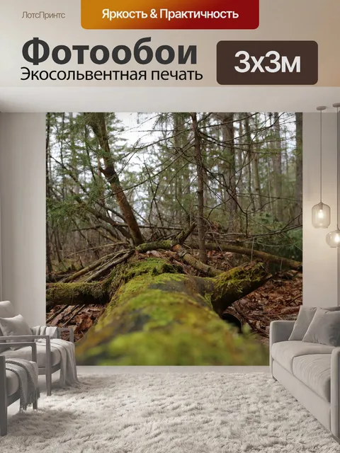 Фотообои Лес