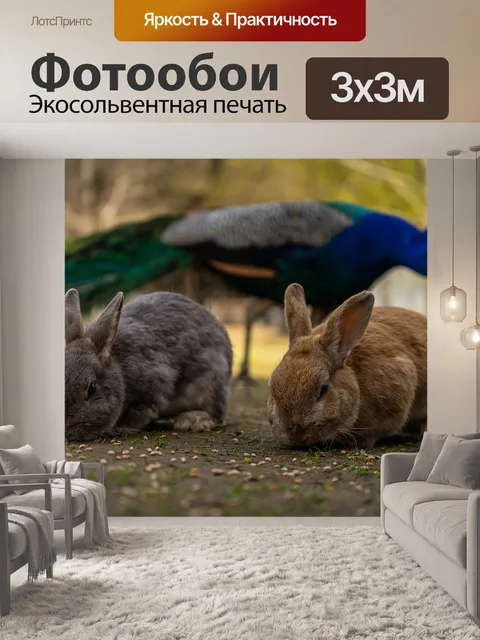 Фотообои Животное