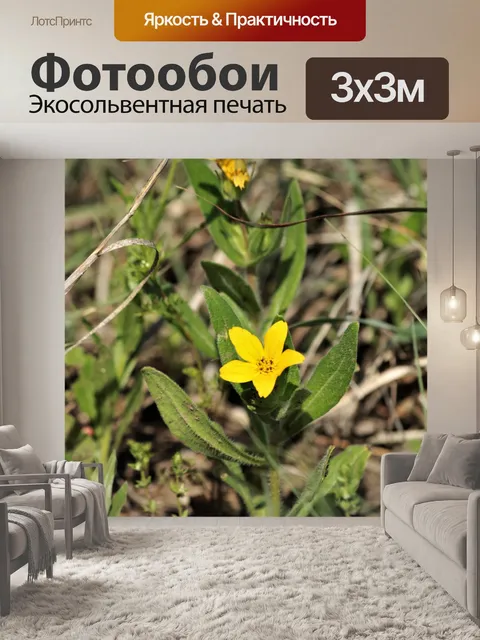 Фотообои Техасская желтая звезда Полевые цветы 2