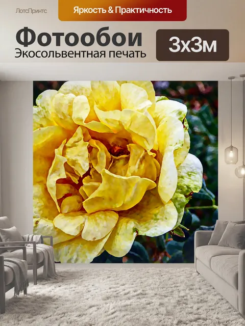 Фотообои Окрашенные Желтая роза