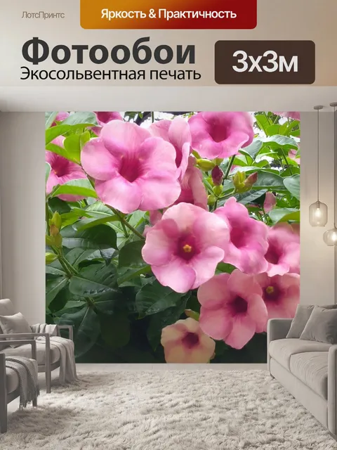Фотообои Мандевилла цветы 9