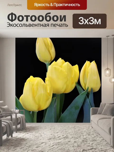 Фотообои Четыре желтых тюльпана на черном