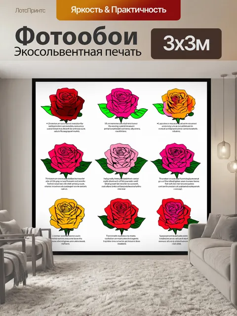 Фотообои розы в стиле инфографический рисунок, использование линейной графики и цветных фонов