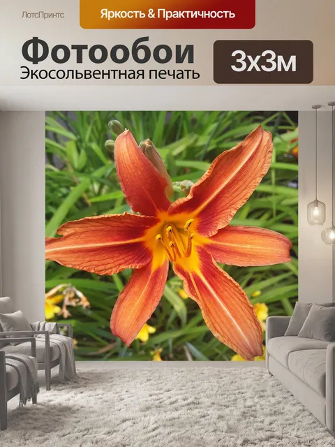Фотообои Лилейник