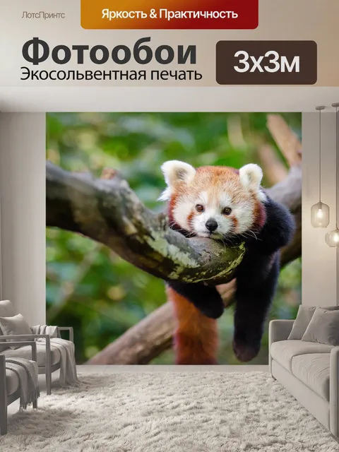 Фотообои Красная панда панда