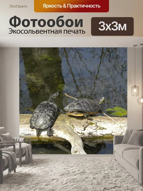 Фотообои Воды черепаха